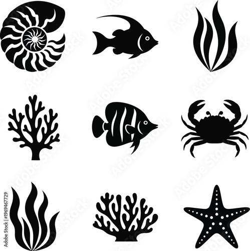 Black and white ocean including fish coral seaweed starfish underwater marine life