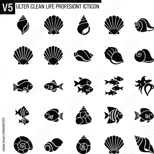 Black and white sea creatures and shells fish ocean 1 marine life