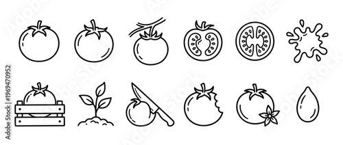 Collection of black outline tomato icons showing whole, sliced, bitten, and growing tomatoes, along with a splash and a single seed