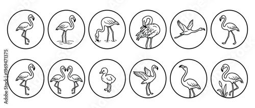 Collection of twelve black and white line art flamingo icons in various poses, including standing, flying, and feeding