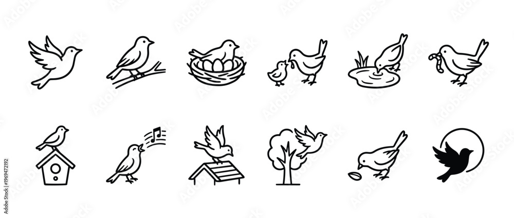 Fototapeta premium Collection of simple black outline bird icons depicting various activities and poses in a clean, illustrative style
