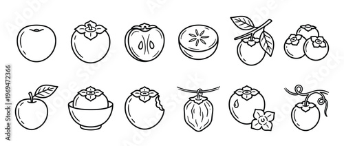 Collection of various persimmon fruit outline icons, including whole, sliced, and bitten fruits, presented in a clean, minimalist style