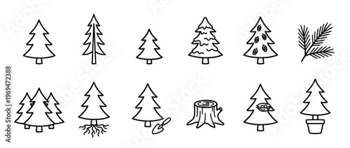 Various simple black outline drawings of different pine trees, a tree stump, and pine branches are neatly arranged