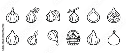 Collection of black and white line art fig icons showing whole, sliced, and bitten fruits in various styles