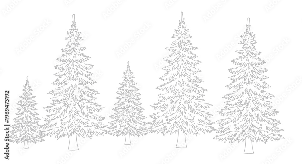 Obraz premium Outline Evergreen Trees Collection Isolated White Background
