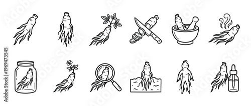 Collection of hand-drawn black and white line art icons depicting various forms and uses of ginseng root, including whole, sliced, and prepared