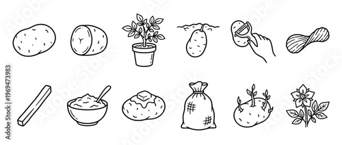 Collection of hand-drawn potato icons depicting various stages from planting to different food preparations, presented in a clean, outlined style