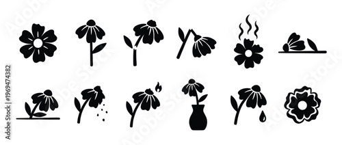 Collection of black silhouette flower icons depicting various states of growth, decay, and interaction in a clean, graphic style