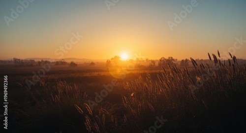 First rays of sunlight on an early morning