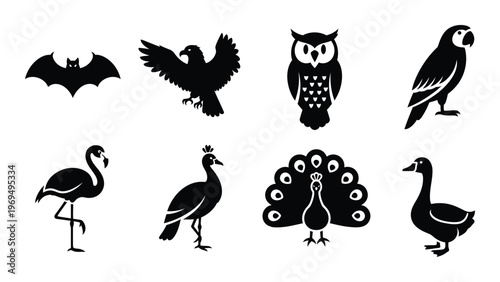 A collection of various bird and bat silhouettes displayed in black showcasing diverse avian forms and wingspans silhouette high quality professional