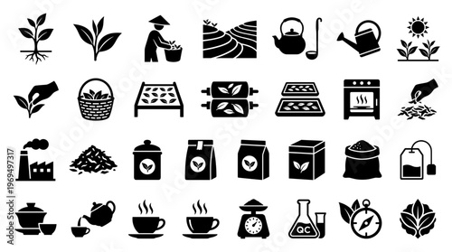 Tea production process icons set showing cultivation harvest processing and brewing from plantation to cup