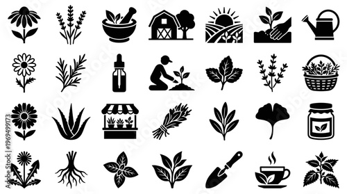 Herbal medicine and gardening icons set for natural health and organic farming concepts