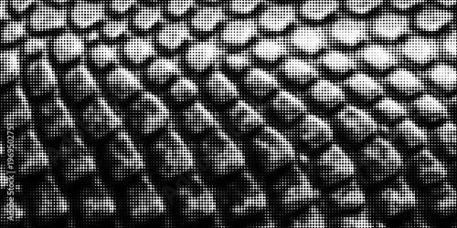 Dragon snake reptile fish mermiad scale seamless pattern tile. Dinosaur skin seamless pattern. Vector black