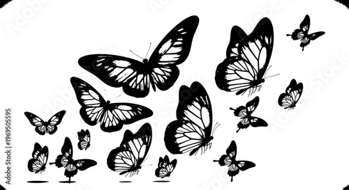 Butterflies black silhouettes with white details flying... featuring insects, wings, animal with nature and wildlife elements for lepidoptera,