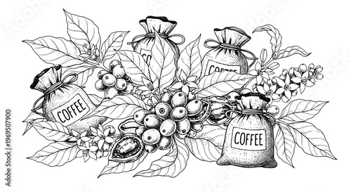Coffee bags with leaves and berries in a bundle, labeled with coffee beans featuring coffee, coffee beans, coffee bags with coffee leaves and coffee