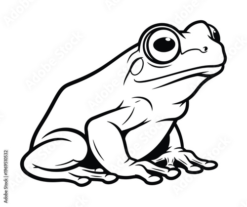 Vector of a cute frog sitting calmly with large expressive eyes and smooth body contours.