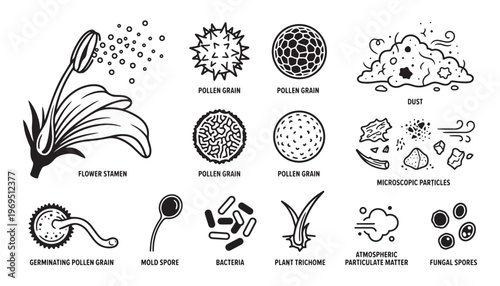 Pollen grains dust and microscopic particles vector illustration science