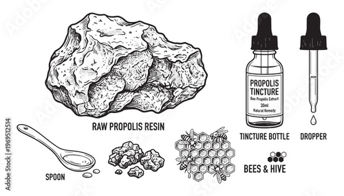 Propolis tincture illustration vector raw resin bees hive spoon and dropper isolated