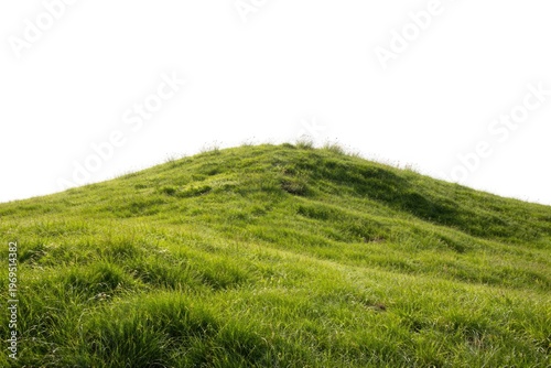 Detailed view of a lush gra...