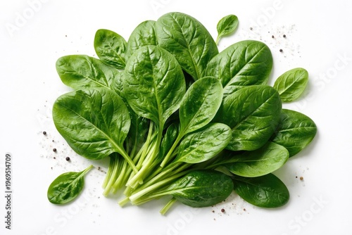 Fresh Green Spinach Leaves ...