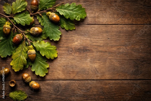 Top view of oak branch with...