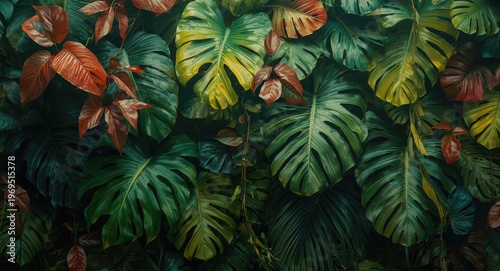 Tropical foliage background...