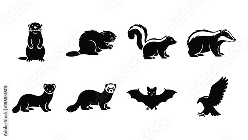 A collection of various animal silhouettes including a ferret badger and bird of prey silhouette high quality professional detailed modern elegant