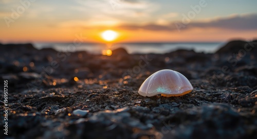 Sunrise Over Rocky Shore Fe...