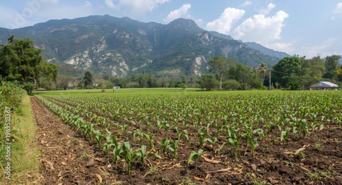 Unhurried farm environment ...