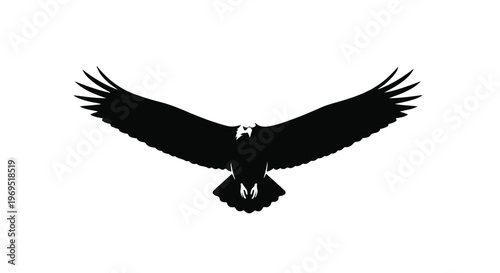 Majestic eagle silhouette soaring with wide wingspan against a bright white background.