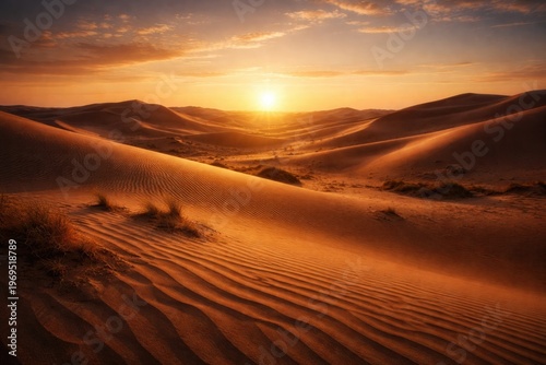 Sunset desert landscape fea...