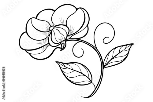 coloring page line art the sweet pea flower black vector