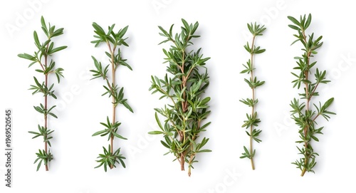 Various positions of fresh ...