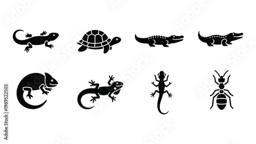 A collection of reptile and insect silhouettes including lizards turtles alligators and a beetle silhouette high quality professional detailed modern elegant