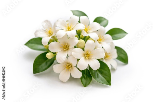 White background featuring ...