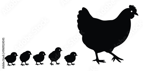 Mother Hen Chicks Silhouette Poultry Family Farm Chicken Bird Rural Agriculture Vector Illustration Set Isolated Background