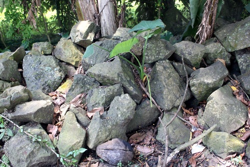The pile of stones in the backyard.
Huge pile of stones in the backyard.