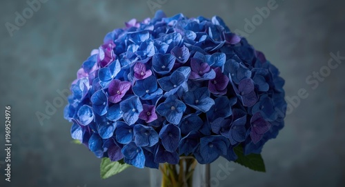 Vibrant hydrangea bouquet w...