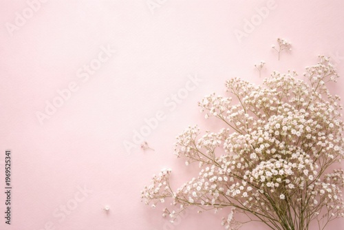Delicate gypsophila bouquet flat lay on soft pink background minimal floral arrangement with copy space