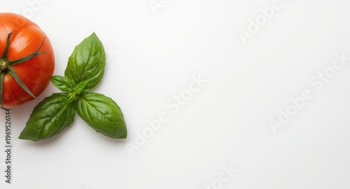 White backdrop featuring ov...