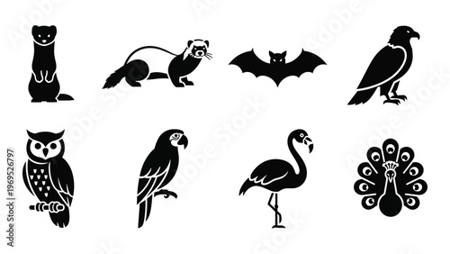 A collection of black animal silhouettes including a ferret bat owl flamingo and peacock silhouette high quality professional detailed modern elegant