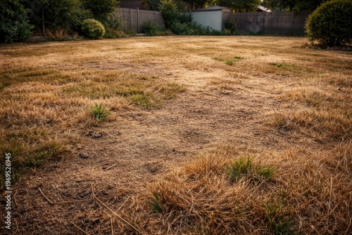 Unhealthy dry grass needing...