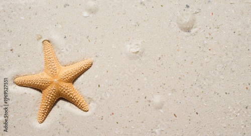 Starfish on pale beach sand...