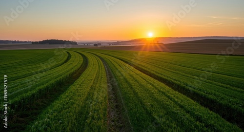 Tractor track outlines visi...