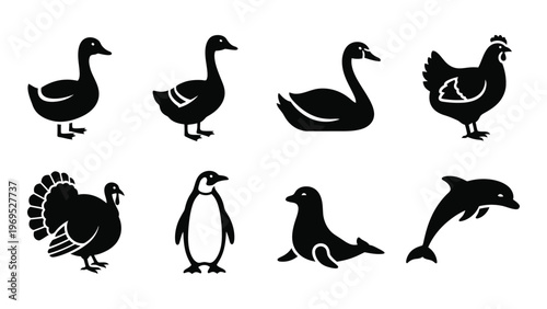 A collection of diverse waterfowl and marine life presented in stark black shapes offering a striking silhouette high quality professional detailed