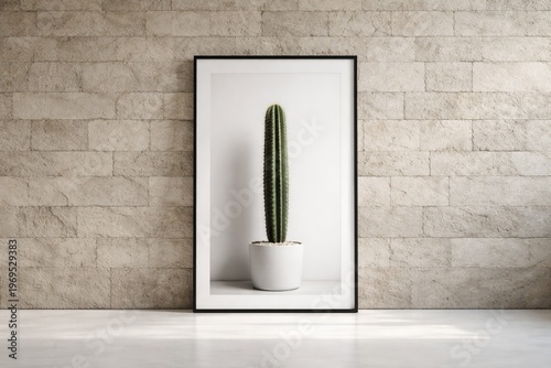 Minimalist cactus plant in ...