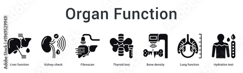 Organ function banner web icon monitors liver, kidney, thyroid, bone and lung health through specialized testing.