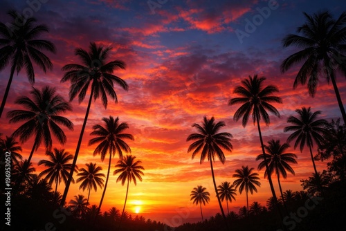 Vibrant sunset sky with silhouetted coconut palm trees