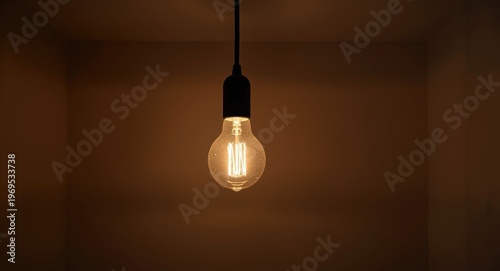 Suspended light bulb closeu...