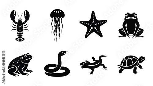 A collection of marine and amphibian creatures are depicted in striking black silhouettes showcasing diverse animal forms silhouette high quality professional